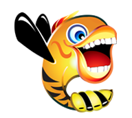 buzzfish media LLC